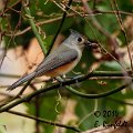 20Dec-CBC 460
